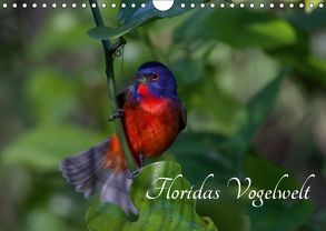 Floridas Vogelwelt (Wandkalender 2019 DIN A4 quer) von Weise / natureinimages.com,  Ralf