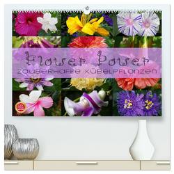 Flower Power – Zauberhafte Kübelpflanzen (hochwertiger Premium Wandkalender 2024 DIN A2 quer), Kunstdruck in Hochglanz von Cross,  Martina