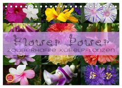 Flower Power – Zauberhafte Kübelpflanzen (Tischkalender 2024 DIN A5 quer), CALVENDO Monatskalender von Cross,  Martina