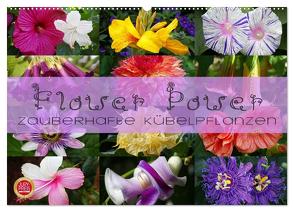 Flower Power – Zauberhafte Kübelpflanzen (Wandkalender 2024 DIN A2 quer), CALVENDO Monatskalender von Cross,  Martina