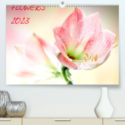 Flowers / 2023 (Premium, hochwertiger DIN A2 Wandkalender 2023, Kunstdruck in Hochglanz) von und Max Waldecker,  Axel
