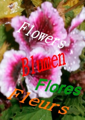 Flowers Blumen Fleurs Flores von Jakobsen,  Hendrik