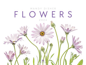 Flowers – Mandy Disher – Kalender 2024 von Disher,  Mandy
