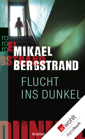 Flucht ins Dunkel von Bergstrand,  Mikael, Müller,  Nike Karen