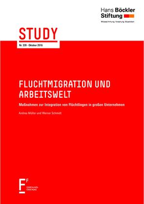 Fluchtmigration und Arbeitswelt von Müller,  Andrea, Schmidt,  Werner