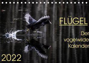 Flügel 2022 Der vogelwilde Kalender (Tischkalender 2022 DIN A5 quer) von van der Wiel,  Irma