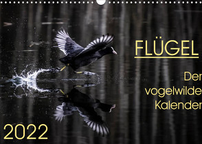 Flügel 2022 Der vogelwilde Kalender (Wandkalender 2022 DIN A3 quer) von van der Wiel,  Irma