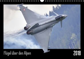 Flügel über den Alpen (Wandkalender 2019 DIN A3 quer) von Delhanidis,  Nick