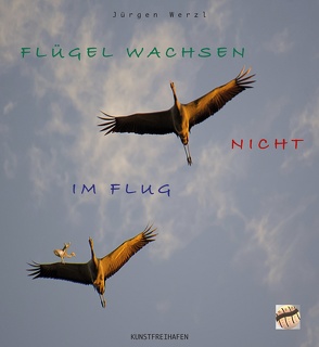 FLÜGEL WACHSEN NICHT IM FLUG von Werzl,  Jürgen
