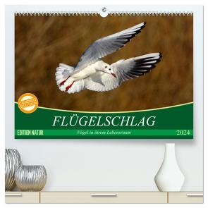 Flügelschlag – Vögel in ihrem natürlichen Lebensraum (hochwertiger Premium Wandkalender 2024 DIN A2 quer), Kunstdruck in Hochglanz von Kottal / Claudia Elsner,  Axel