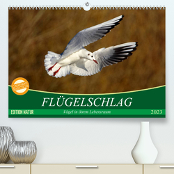 Flügelschlag – Vögel in ihrem natürlichen Lebensraum (Premium, hochwertiger DIN A2 Wandkalender 2023, Kunstdruck in Hochglanz) von Kottal / Claudia Elsner,  Axel