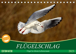 Flügelschlag – Vögel in ihrem natürlichen Lebensraum (Tischkalender 2023 DIN A5 quer) von Kottal / Claudia Elsner,  Axel