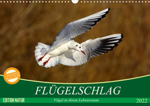 Flügelschlag – Vögel in ihrem natürlichen Lebensraum (Wandkalender 2022 DIN A3 quer) von Kottal / Claudia Elsner,  Axel