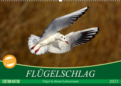 Flügelschlag – Vögel in ihrem natürlichen Lebensraum (Wandkalender 2023 DIN A2 quer) von Kottal / Claudia Elsner,  Axel