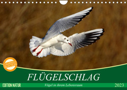 Flügelschlag – Vögel in ihrem natürlichen Lebensraum (Wandkalender 2023 DIN A4 quer) von Kottal / Claudia Elsner,  Axel
