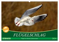 Flügelschlag – Vögel in ihrem natürlichen Lebensraum (Wandkalender 2024 DIN A2 quer), CALVENDO Monatskalender von Kottal / Claudia Elsner,  Axel