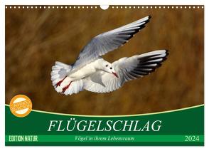 Flügelschlag – Vögel in ihrem natürlichen Lebensraum (Wandkalender 2024 DIN A3 quer), CALVENDO Monatskalender von Kottal / Claudia Elsner,  Axel