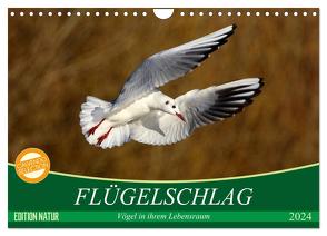 Flügelschlag – Vögel in ihrem natürlichen Lebensraum (Wandkalender 2024 DIN A4 quer), CALVENDO Monatskalender von Kottal / Claudia Elsner,  Axel