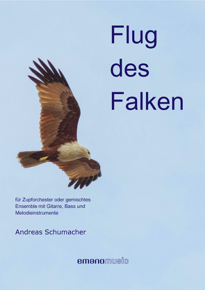 Flug des Falken von Schumacher,  Andreas