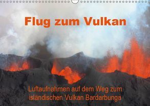 Flug zum Vulkan. Luftaufnahmen auf dem Weg zum isländischen Vulkan Bardarbunga (Wandkalender 2019 DIN A3 quer) von Tanzer,  Erika