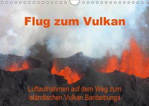 Flug zum Vulkan. Luftaufnahmen auf dem Weg zum isländischen Vulkan Bardarbunga (Wandkalender 2019 DIN A4 quer) von Tanzer,  Erika