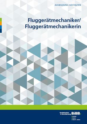 Fluggerätemechaniker/Fluggerätemechanikerin von Bertram,  Bärbel, Schenk,  Harald