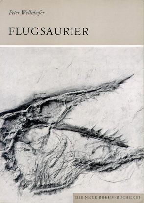 Flugsaurier von Wellnhofer,  Peter