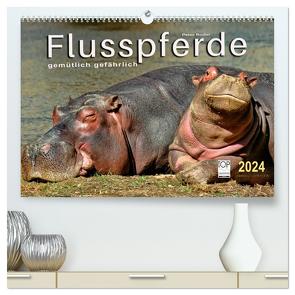 Flusspferde – gemütlich gefährlich (hochwertiger Premium Wandkalender 2024 DIN A2 quer), Kunstdruck in Hochglanz von Roder,  Peter