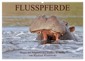 Flusspferde Magie des Augenblicks – Hippos in Afrika (Wandkalender 2024 DIN A2 quer), CALVENDO Monatskalender von Wisniewski,  Winfried