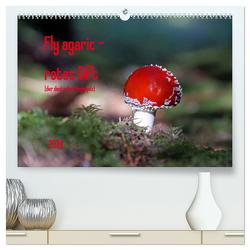 Fly agaric – rotes Gift (hochwertiger Premium Wandkalender 2024 DIN A2 quer), Kunstdruck in Hochglanz von Flori0,  Flori0
