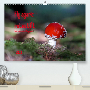 Fly agaric – rotes Gift (Premium, hochwertiger DIN A2 Wandkalender 2023, Kunstdruck in Hochglanz) von Flori0