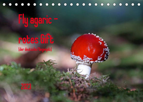 Fly agaric – rotes Gift (Tischkalender 2023 DIN A5 quer) von Flori0