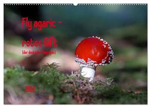 Fly agaric – rotes Gift (Wandkalender 2024 DIN A2 quer), CALVENDO Monatskalender von Flori0,  Flori0