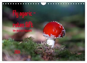 Fly agaric – rotes Gift (Wandkalender 2024 DIN A4 quer), CALVENDO Monatskalender von Flori0,  Flori0