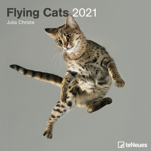 Flying Cats 2021 – Wand-Kalender – Broschüren-Kalender – 30×30 – 30×60 geöffnet – Katzen-Kalender von Christe,  Julia