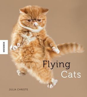 Flying Cats von Christe,  Julia