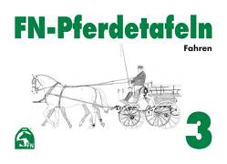 FN-Pferdetafeln Set 3 von Deutsche Reiterliche Vereinigung e.V. (FN)