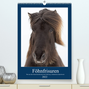 Föhnfrisuren (Premium, hochwertiger DIN A2 Wandkalender 2022, Kunstdruck in Hochglanz) von Bernhard,  Anne-Barbara