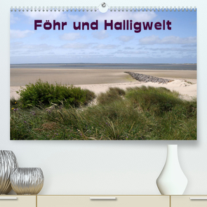 Föhr und Halligwelt 2023 (Premium, hochwertiger DIN A2 Wandkalender 2023, Kunstdruck in Hochglanz) von Jerneinzick,  Doris