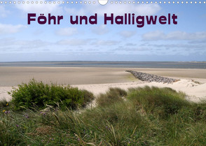 Föhr und Halligwelt 2023 (Wandkalender 2023 DIN A3 quer) von Jerneinzick,  Doris