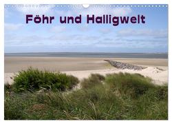 Föhr und Halligwelt 2024 (Wandkalender 2024 DIN A3 quer), CALVENDO Monatskalender von Jerneinzick,  Doris