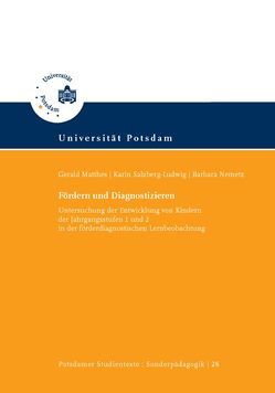 Fördern und Diagnostizieren von Matthes,  Gerald, Nemetz,  Barbara, Salzberg-Ludwig,  Karin