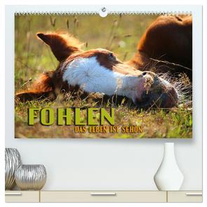 Fohlen – das Leben ist schön (hochwertiger Premium Wandkalender 2024 DIN A2 quer), Kunstdruck in Hochglanz von Utz,  Renate