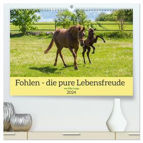 Fohlen – die pure Lebensfreude (hochwertiger Premium Wandkalender 2024 DIN A2 quer), Kunstdruck in Hochglanz von Laage,  Elke