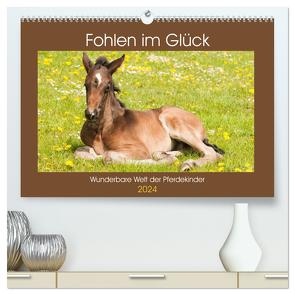 Fohlen im Glück – Wunderbare Welt der Pferdekinder (hochwertiger Premium Wandkalender 2024 DIN A2 quer), Kunstdruck in Hochglanz von Bölts,  Meike