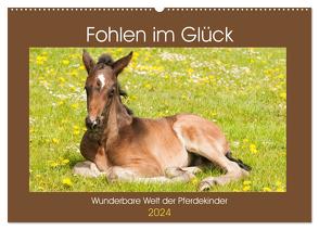 Fohlen im Glück – Wunderbare Welt der Pferdekinder (Wandkalender 2024 DIN A2 quer), CALVENDO Monatskalender von Bölts,  Meike