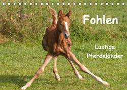 Fohlen – Lustige Pferdekinder (Tischkalender 2023 DIN A5 quer) von Bölts,  Meike