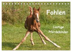 Fohlen – Lustige Pferdekinder (Tischkalender 2024 DIN A5 quer), CALVENDO Monatskalender von Bölts,  Meike