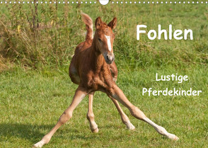 Fohlen – Lustige Pferdekinder (Wandkalender 2023 DIN A3 quer) von Bölts,  Meike