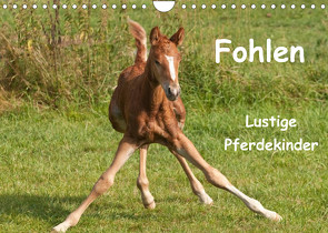 Fohlen – Lustige Pferdekinder (Wandkalender 2023 DIN A4 quer) von Bölts,  Meike